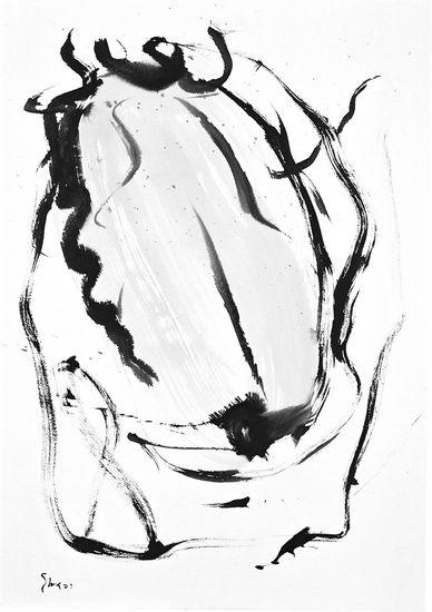 2-2001 eingezeichnet 105x75 chf 3200.jpg